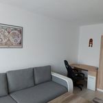 Rent 1 bedroom apartment of 35 m² in Neu-Isenburg