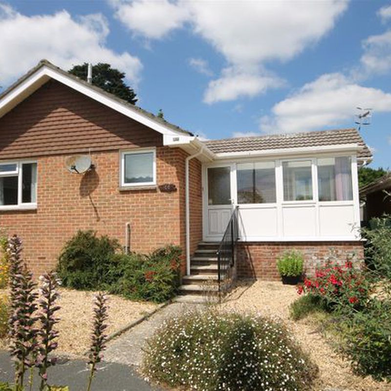 Detached bungalow to rent in Ashley Way, Brighstone, Newport PO30 Brookside