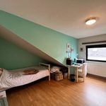 Huur 4 slaapkamer huis van 164 m² in Zottegem