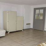  appartement avec 1 chambre(s) en location à Uzès