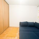Rent 2 bedroom apartment of 51 m² in Chełm
