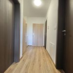 Rent 2 bedroom apartment of 56 m² in Jáchymov