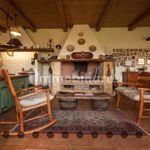 Rent 5 bedroom house of 200 m² in Capalbio