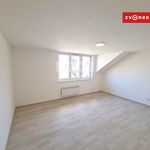 Rent 1 bedroom apartment of 28 m² in Zlín