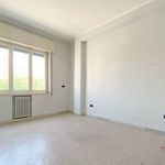 Affitto 4 camera appartamento di 160 m² in Putignano