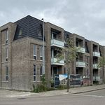 Rent 1 bedroom apartment of 50 m² in Bergen op Zoom