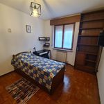 Rent 1 bedroom apartment of 150 m² in Verona