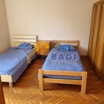 Rent 3 bedroom house of 120 m² in Petrinja