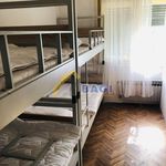 Najam 8 spavaće sobe kuća od 350 m² u Dubrava