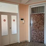 Affitto 4 camera appartamento di 117 m² in Messina