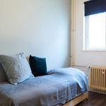Rent a room of 75 m² in berlin