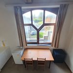 Rent 1 bedroom apartment of 15 m² in Mons