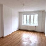 Rent 2 bedroom apartment of 60 m² in Berndorf