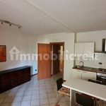 Rent 1 bedroom apartment of 50 m² in Novara