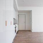 Vuokraa 3 makuuhuoneen asunto, 55 m² paikassa Turku