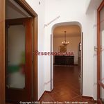 Affitto 5 camera appartamento di 192 m² in Altavilla Milicia