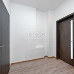 Rent 1 bedroom apartment of 35 m² in Děčín