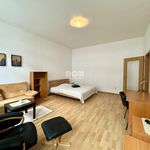 Rent 1 bedroom apartment of 52 m² in Číhošť