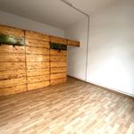 Rent 1 bedroom house of 20 m² in Bologna