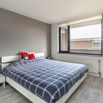 Rent 3 bedroom apartment in 's-Gravenhage