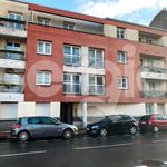 Rent 3 bedroom apartment of 52 m² in Lille