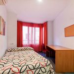 Alquilar 7 dormitorio apartamento en Alicante