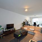 Rent 3 bedroom house of 236 m² in Lievegem