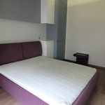 Rent 3 bedroom apartment of 67 m² in Kraków