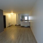 Appartement de 53 m² avec 2 chambre(s) en location à Orléans