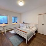 Miete 1 Schlafzimmer wohnung von 15 m² in Handewitt