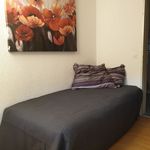 Rent 4 bedroom apartment in Olten