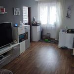 Rent 1 bedroom apartment of 72 m² in Holýšov