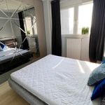 Rent 2 bedroom apartment of 53 m² in Wrocław