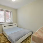 Rent 2 bedroom apartment of 46 m² in Zabki