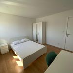 Rent 6 bedroom apartment in Oeiras