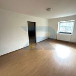 Rent 3 bedroom apartment of 85 m² in Liberec
