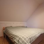 Rent 1 bedroom apartment of 35 m² in Korbeek-Dijle