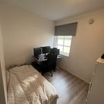 Rent 4 bedroom apartment of 55 m² in Trondheim