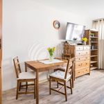 Rent 1 bedroom apartment of 28 m² in Krakow