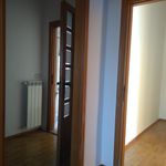 Affitto 5 camera appartamento di 125 m² in Viterbo