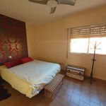 Rent a room of 16 m² in Alicante