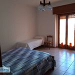 Affitto 2 camera appartamento di 70 m² in Corleto Perticara