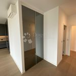 Rent 3 bedroom apartment of 110 m² in City of Zagreb