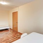 Rent a room of 57 m² in vilnius