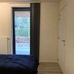Rent 1 bedroom apartment in Olen