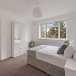 Rent 4 bedroom apartment in Bristol