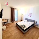 Appartement de 14 m² avec 4 chambre(s) en location à Toulouse