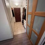 Rent 2 bedroom apartment of 48 m² in Brno