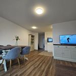 Miete 2 Schlafzimmer wohnung von 55 m² in Mannheim