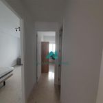 Alquilo 3 dormitorio apartamento de 65 m² en Sevilla